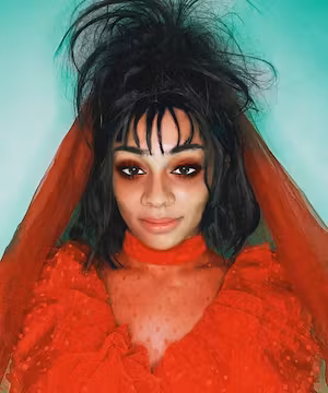 Original TikTok Video