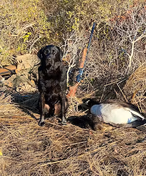 Outdoors page by @frigidcoast