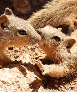 Kellie's captivating journey of creativity and exploration.