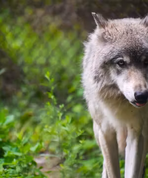 Sarah Jean Blomberg: Crafting Adventures in AZ & Beyond!