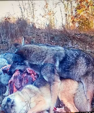 Outdoors page by @frigidcoast