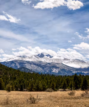 Jennifer Wilde: Nature's Artistic Lens & Animal Enthusiast