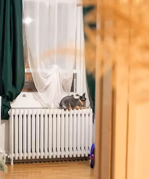 Original product photos by @Liisacotee_