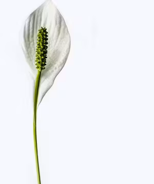 Heather: A Mom of Many, Sharing Love & Inspiration!