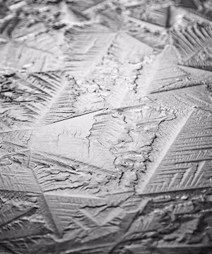 Jennifer Wilde: Nature's Artistic Lens & Animal Enthusiast