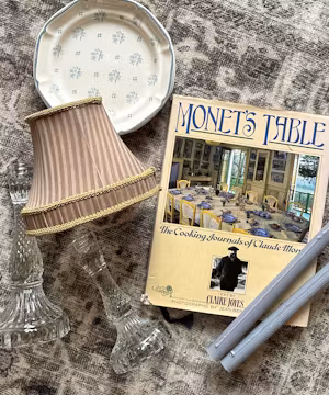 Skyler Mann: Budget Friendly Dream Home Guru