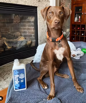 Original Instagram post by @ericaagran