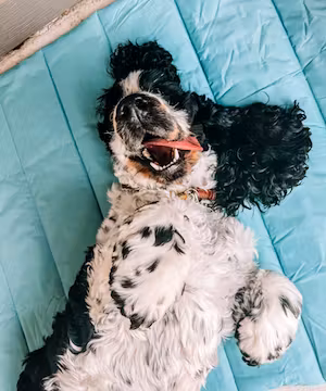 Jinx and Nash ready to create some reels