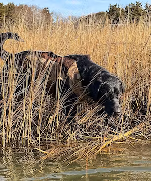 Outdoors page by @frigidcoast