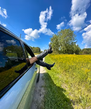 Cecelia Shuler: Your Go-To Guide for Glam Gowns!