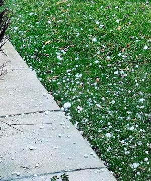 Megan Chamberlin: Crafting a Creative Life!