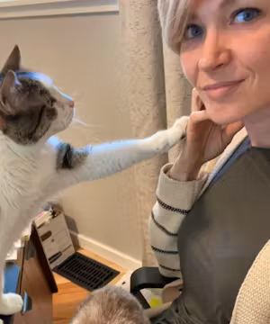 For Cat lovers All Over The World!