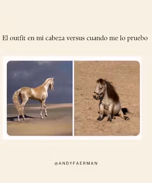 Meet Andy Faerman, Miami's fashion and style expert!