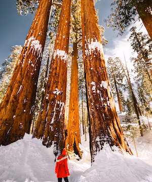 Finding Every Day Magic