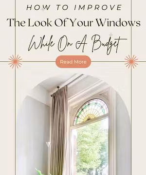 Daneen: Expert Tips for Home & Wellness Success!