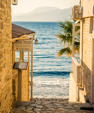 Explore the World with Wandering Ways