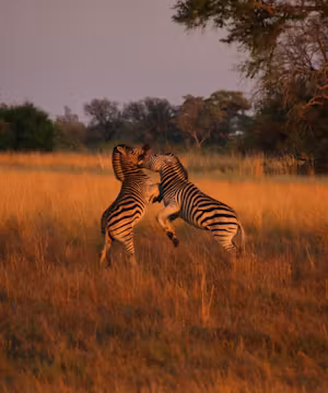 Simasiku Mazunga: Embracing Adventure with Bravery!