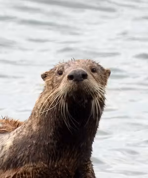 Kellie's captivating journey of creativity and exploration.