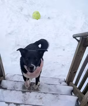 Sponsored Instagram Reel from @Oldladyandthekid
