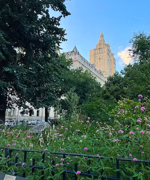 Quality Instagram post from @aphada