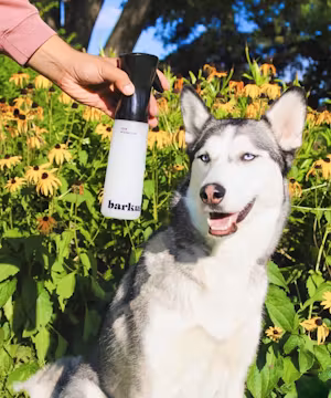 Kaitlin Lombardi: Unleashing Laughter with OntarioHuskies