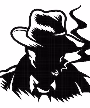 I will Design a Custom logo for your company