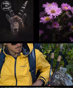 Loic Lehygge: The TikTok Maestro Spinning Viral Magic!