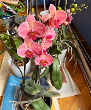 Creative modeling photos from @marremusic