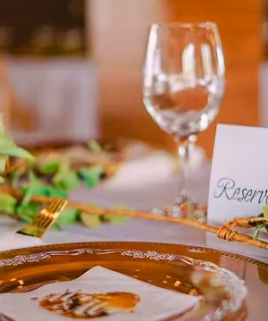 Bobby Williams: Capturing Beauty in Motion.