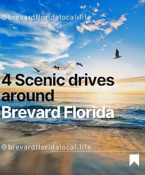 Jocelyn: Uncovering the Beauty of Local Living!