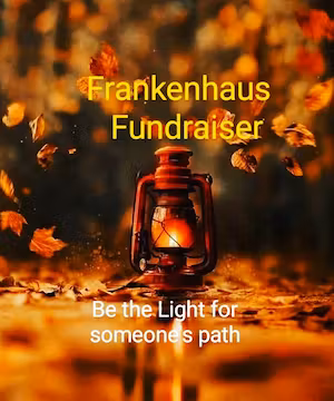 Creative Instagram post by @Maireoneill_pgh