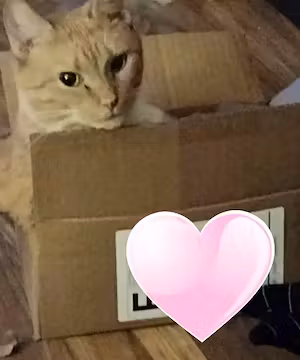 Sponsored Instagram post by @Ezeebuxs