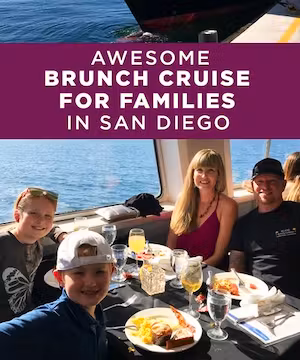 Experience the Good Vibes with Bri Grajkowski!