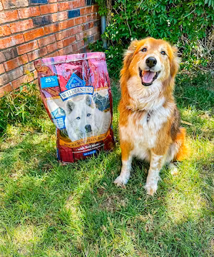 Meet Susie Colacchio, a petite style animal lover who loves to share her passion with her followers!