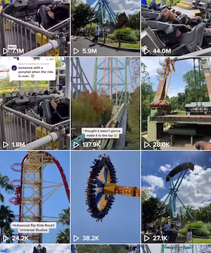 Amusement Park TikTok video