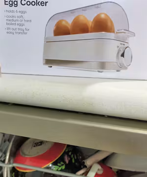 Trina Batchelor: TikTok's Artistic Influencer Extraordinaire