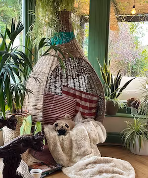 Eclectic, Country & Maximalist. BBC Best House in Town winner. Featured in Sunday Times Style M