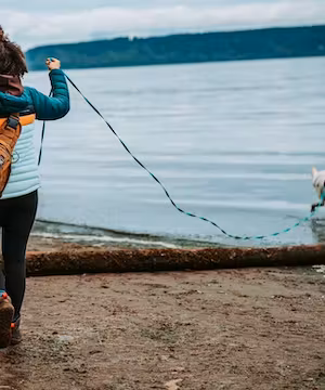 Tatiana Lee: Dog Lover Extraordinaire & South Korean Rover