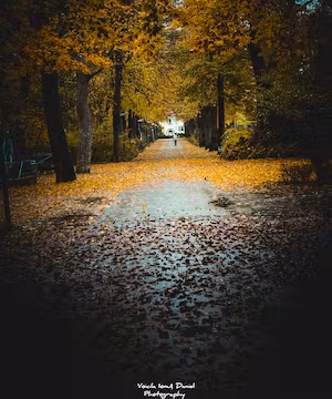 Custom Instagram post by @photographyionut