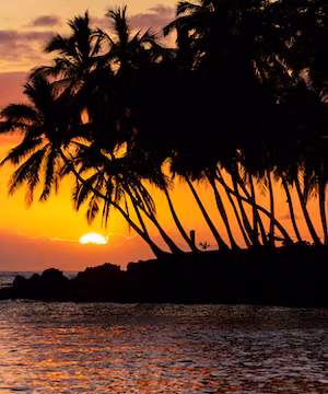 Jennifer Wilde: Nature's Artistic Lens & Animal Enthusiast