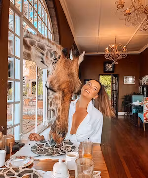 Creative Instagram Reel from @emily_cossey