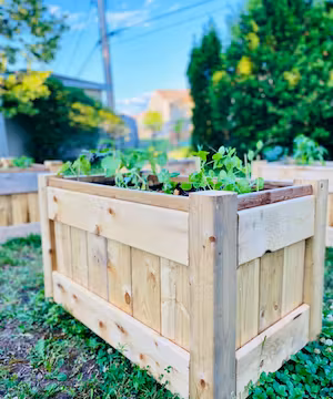 Creative and Unique Blog post by Ella's Blended Family