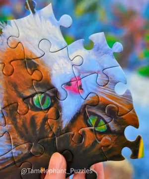 Discover the Art of Product Photography with Tammie Anne!