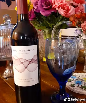 Creative TikTok by @letswine22