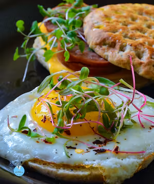 Momo: Capturing Culinary Magic Through the Lens