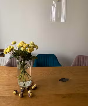 Unique Instagram post from @an.na.baum