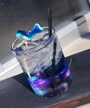 Beauty Maestro Tasha Malatesta: TikTok's Glam Guru