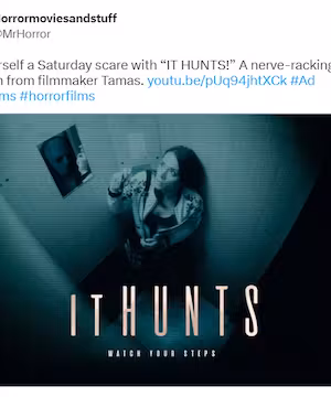 I will shoutout your company or brand on Twitter