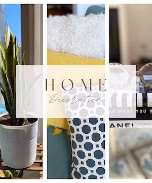 Tempestt Young: Champion of Content & Style