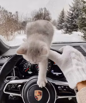 Emilie Boucher: Montreal's Vibrant Lifestyle Influencer